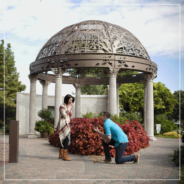 Engagement Photos