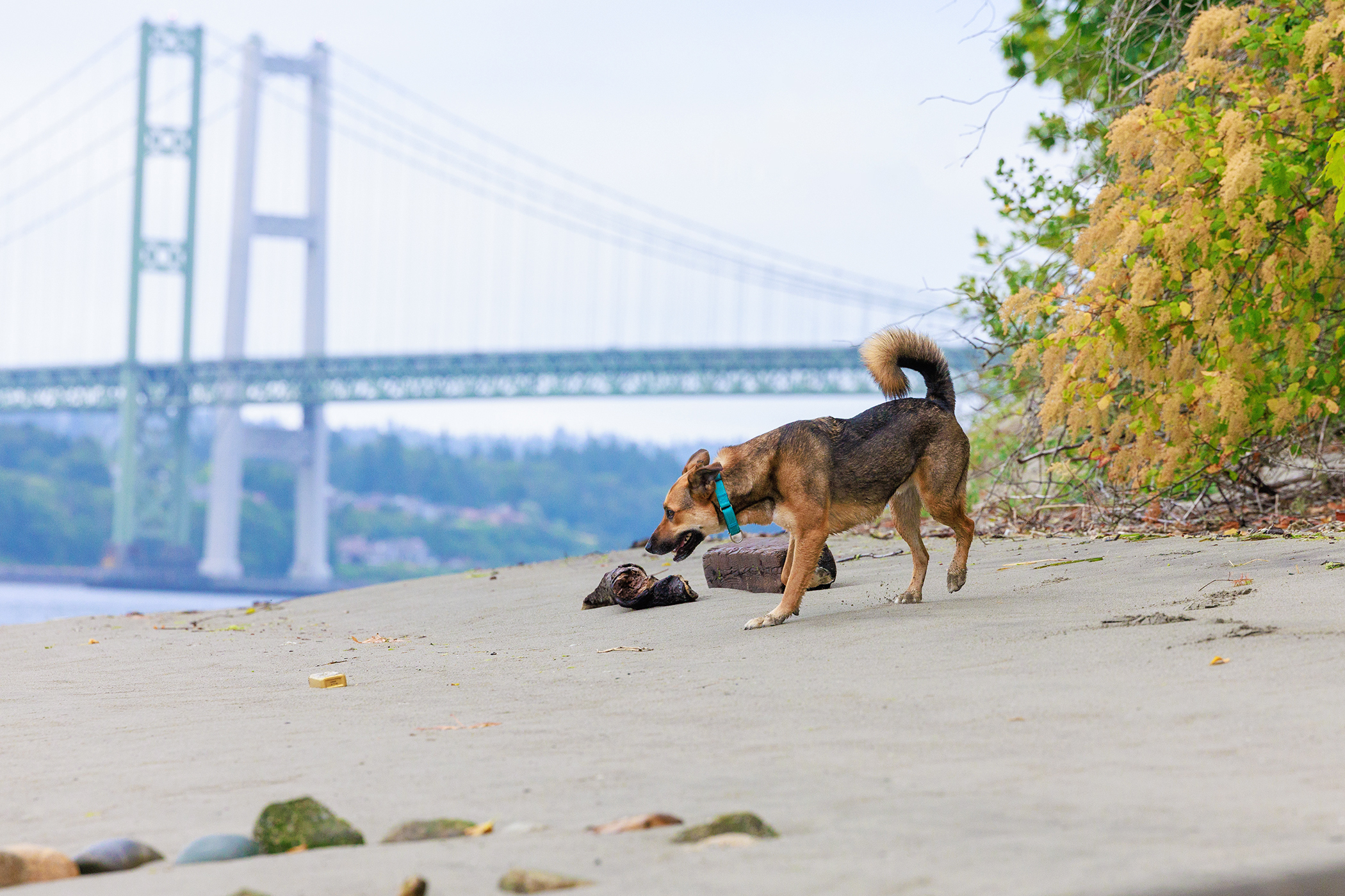 LeannDavisPhotography_0399