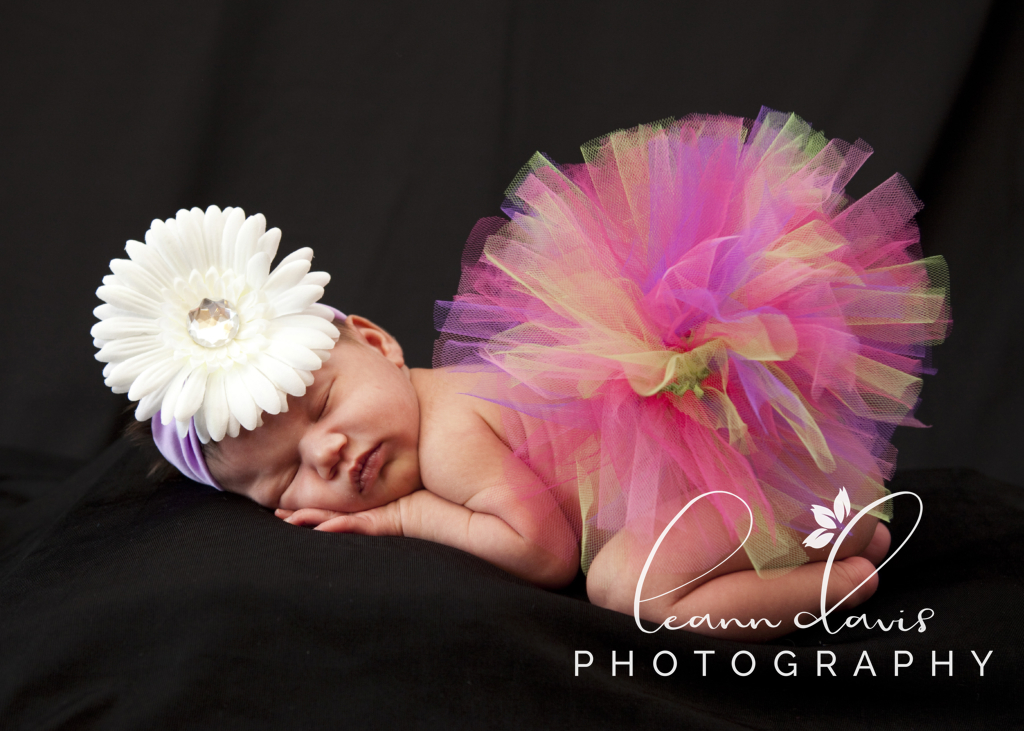 newborn baby photographer in Lincoln, ne