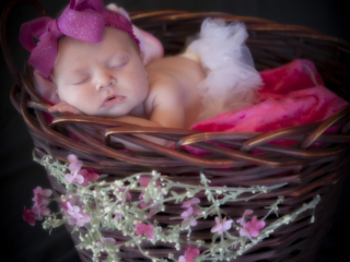 Newborn Photography Lincoln NE