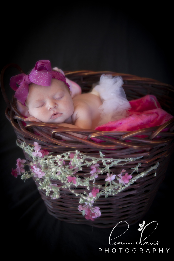 newborn baby photographer in Lincoln, ne