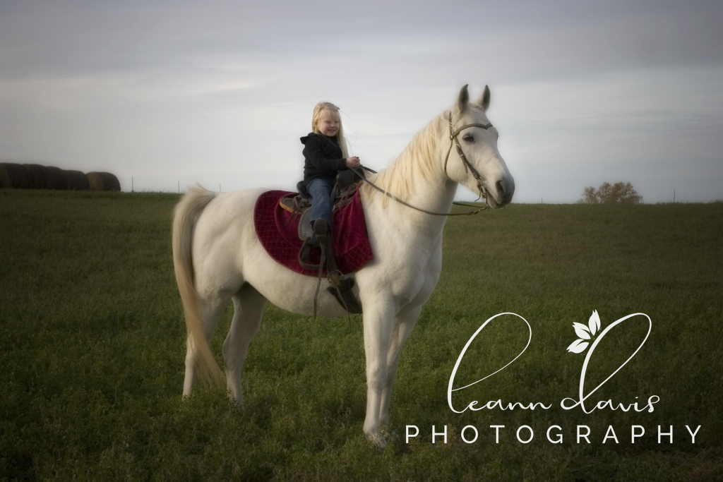 Pet Photographer in Nebraska