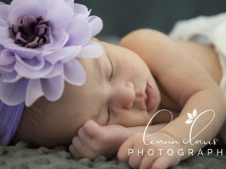 Newborn Photography Lincoln NE
