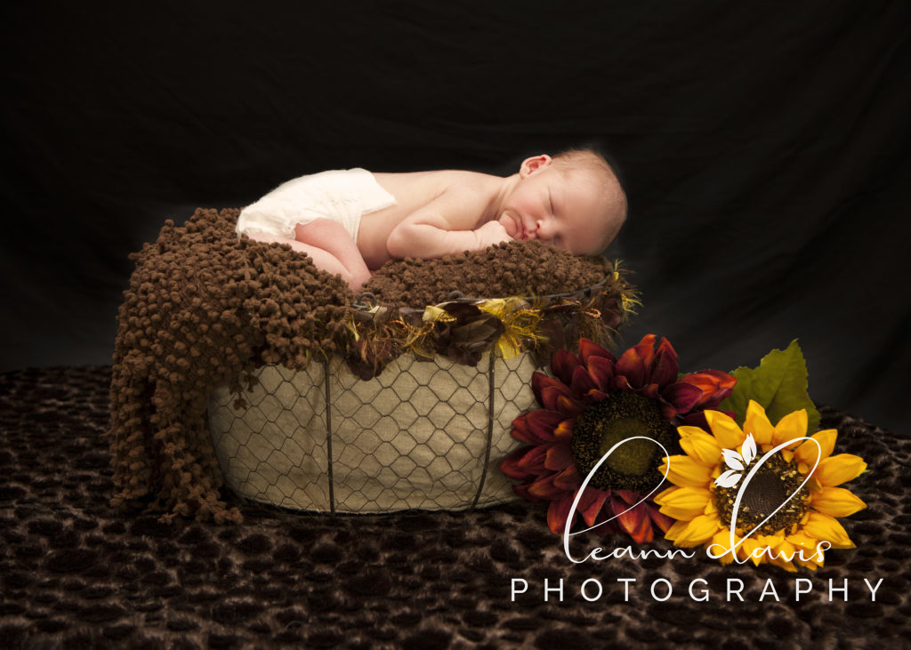 newborn baby photographer in Lincoln, ne