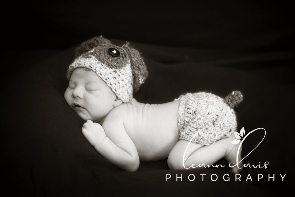 newborn baby photographer in Lincoln, ne