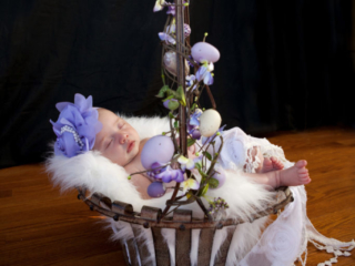 Newborn Photography Lincoln NE