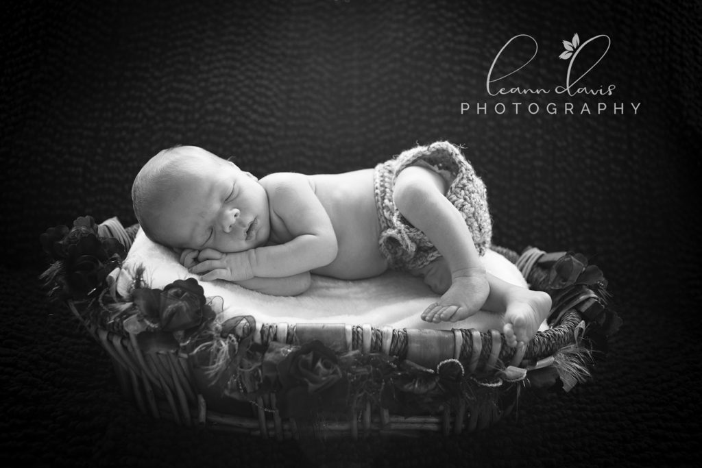 newborn baby photographer in Lincoln, ne