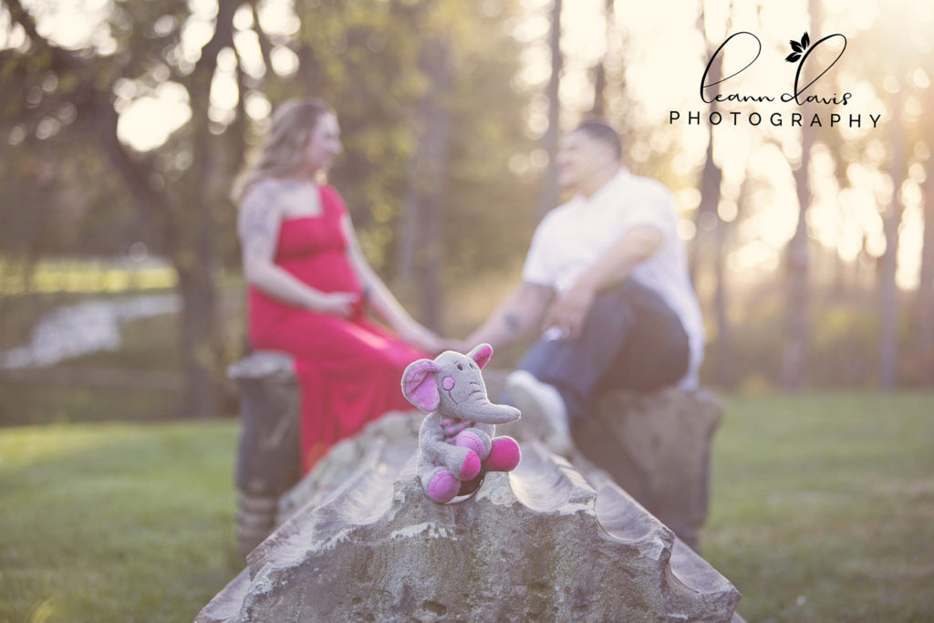 Pregnancy and Maternity Photographer in Lincoln NE