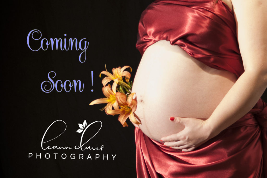 Pregnancy and Maternity Photographer in Lincoln NE