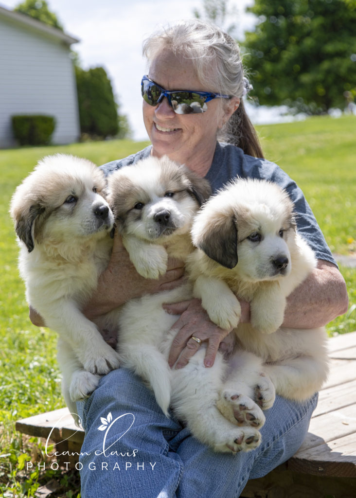 Pet Photographer near me